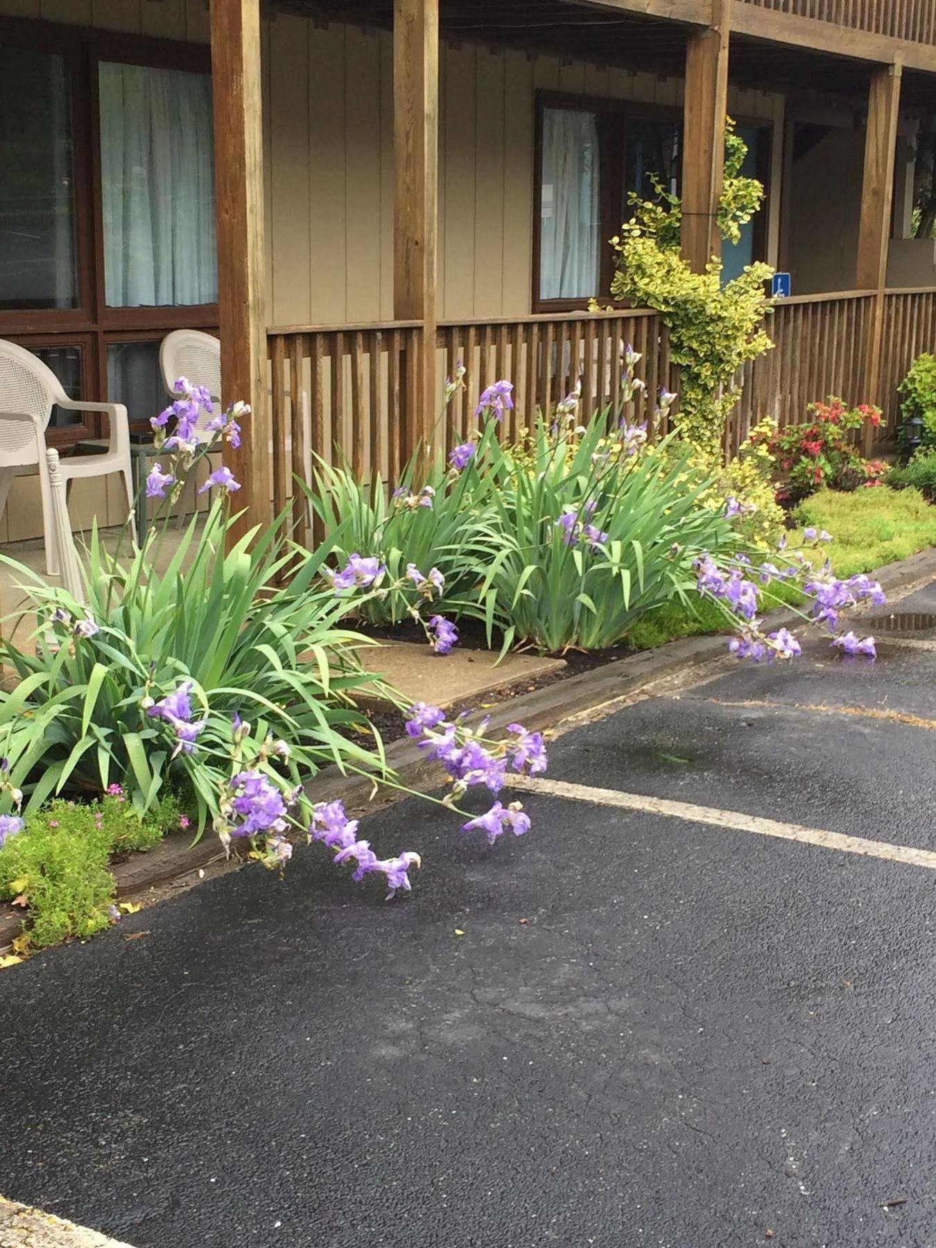 Endless Coast, A Boutique Hotel Wellfleet Exterior foto